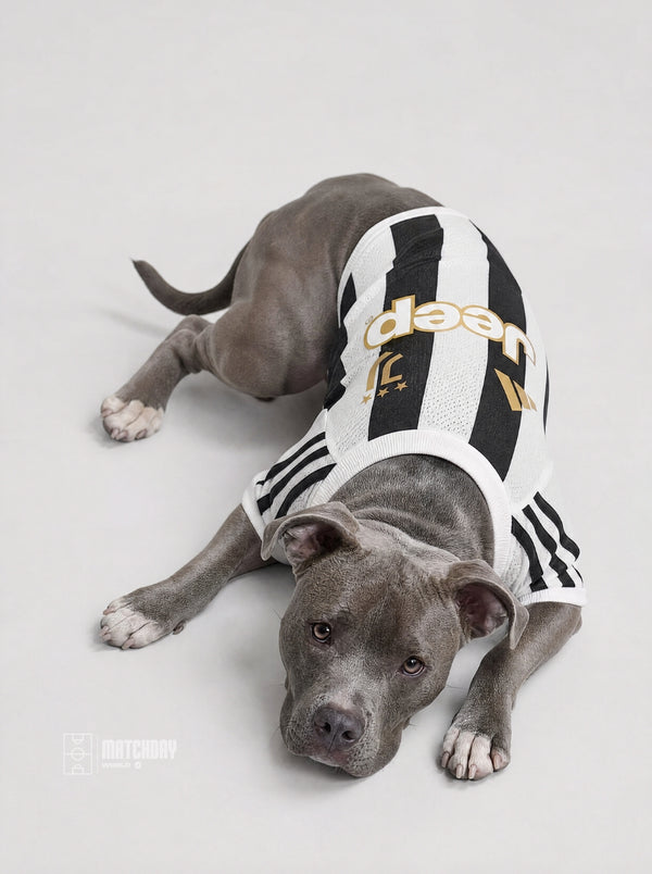 PET Jersey 26/27