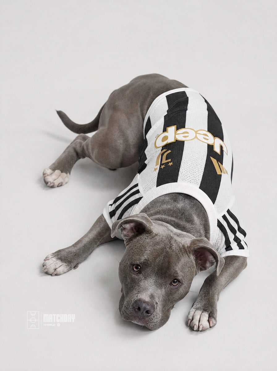 PET Jersey 26/27