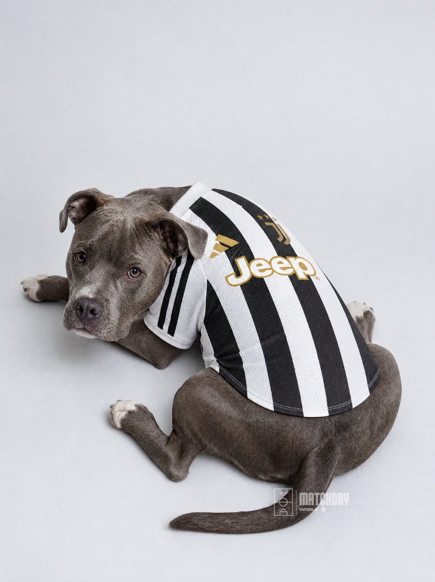 PET Jersey 26/27