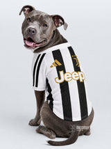 PET Jersey 26/27