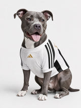 PET Jersey 26/27