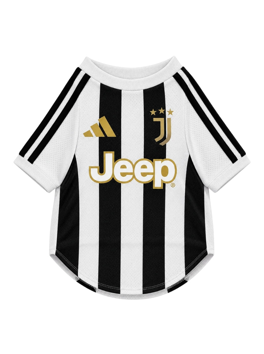 PET Jersey 26/27