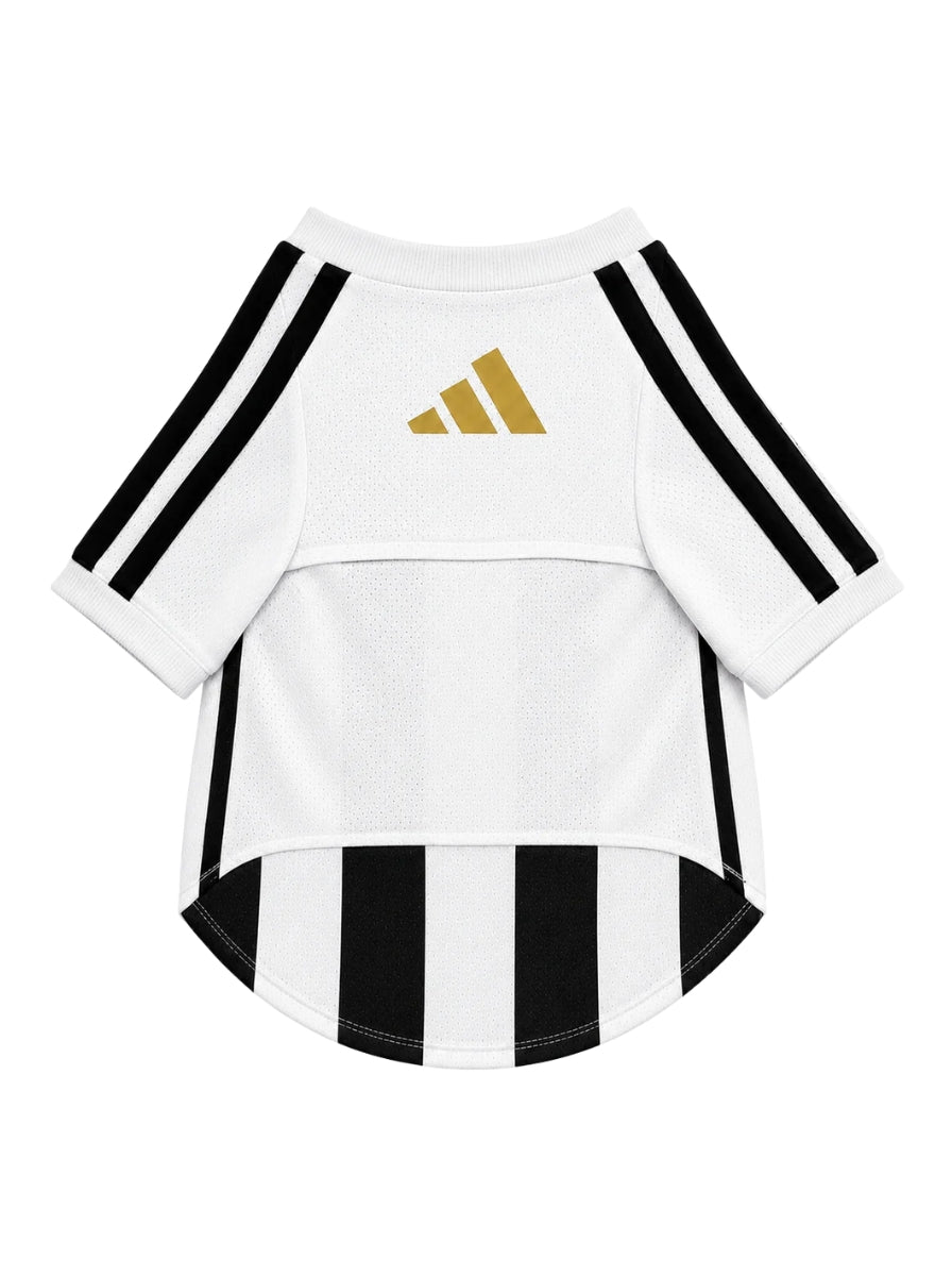 PET Jersey 26/27