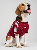 PET Jersey Home 26/27