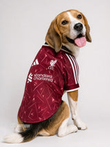PET Jersey Home 26/27