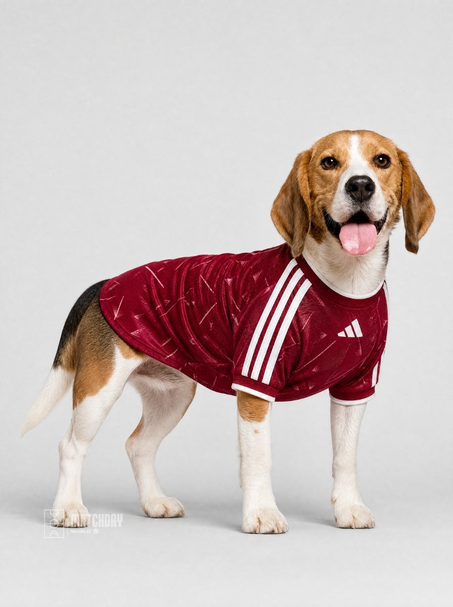 PET Jersey Home 26/27
