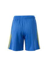 Shorts Terrace Icons Blue