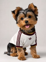 PET Jersey Away 2026