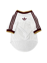 PET Jersey Away 2026