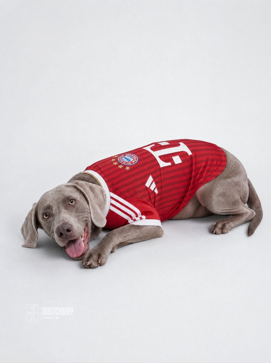 PET Jersey Home 26/27