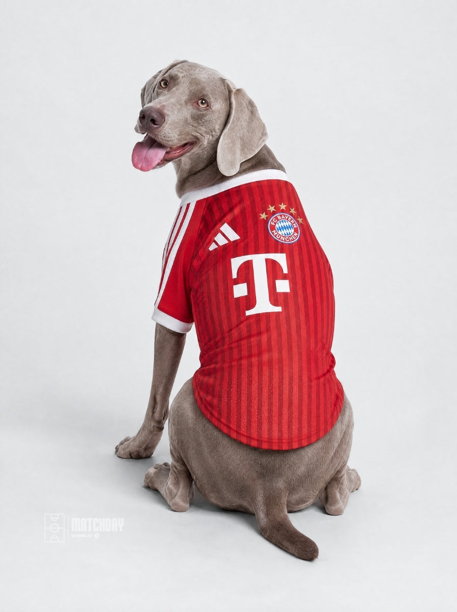 PET Jersey Home 26/27