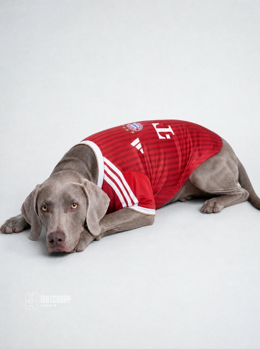PET Jersey Home 26/27