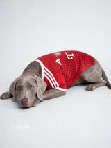 PET Jersey Home 26/27