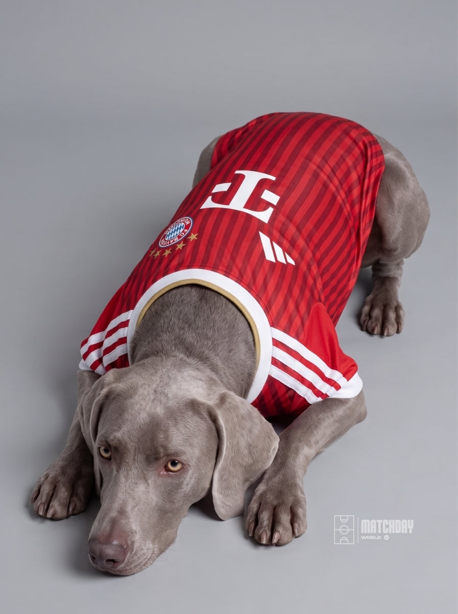 PET Jersey Home 26/27