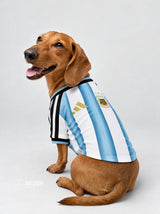 PET Jersey Home 2026
