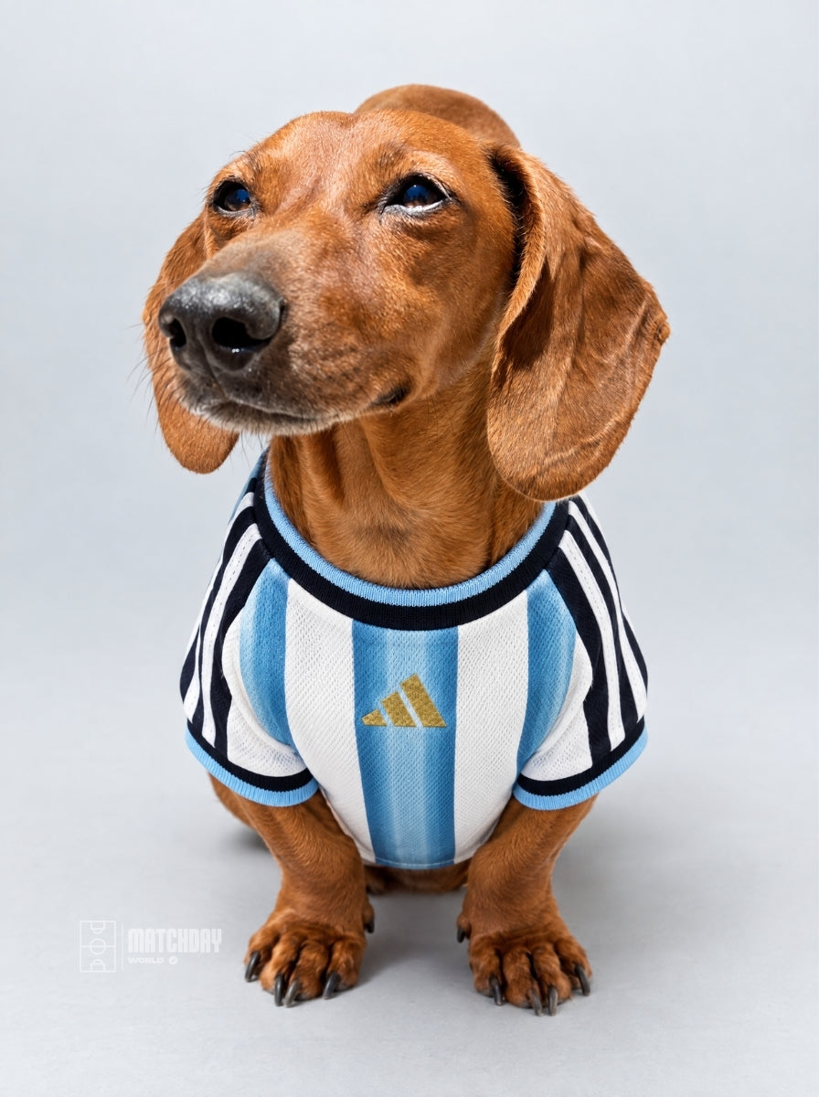 PET Jersey Home 2026