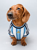 PET Jersey Home 2026