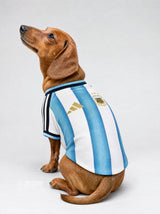 PET Jersey Home 2026