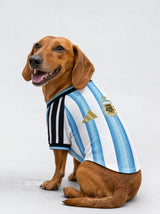 PET Jersey Home 2026