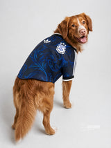 PET Jersey Away 2026