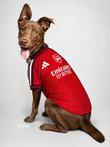 PET Jersey Home 26/27