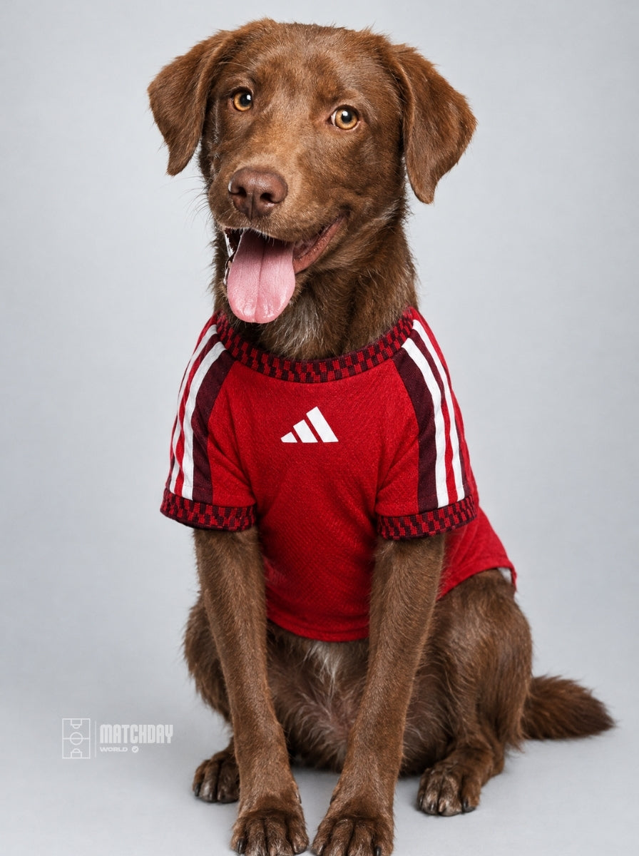 PET Jersey Home 26/27