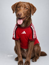 PET Jersey Home 26/27
