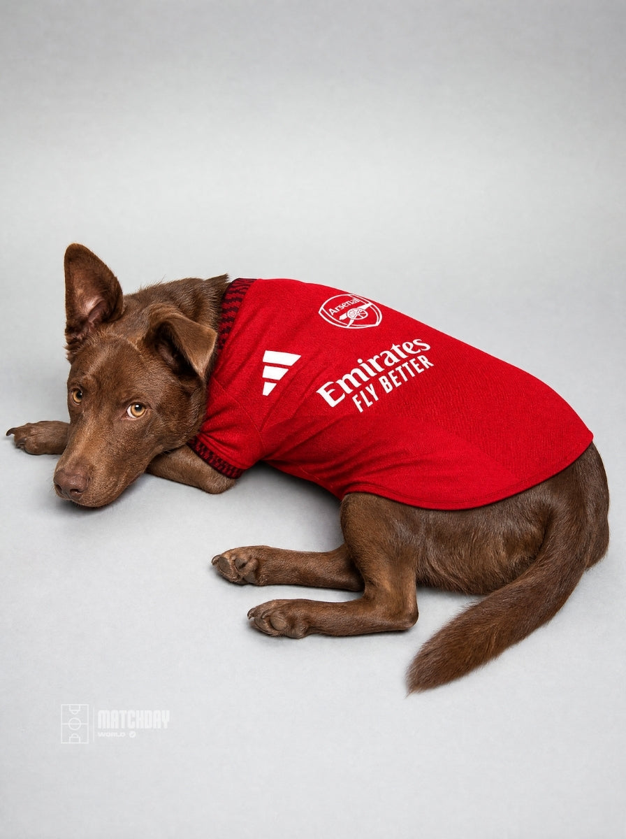 PET Jersey Home 26/27