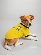 PET Jersey 2026