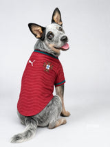 PET Jersey Home 2026