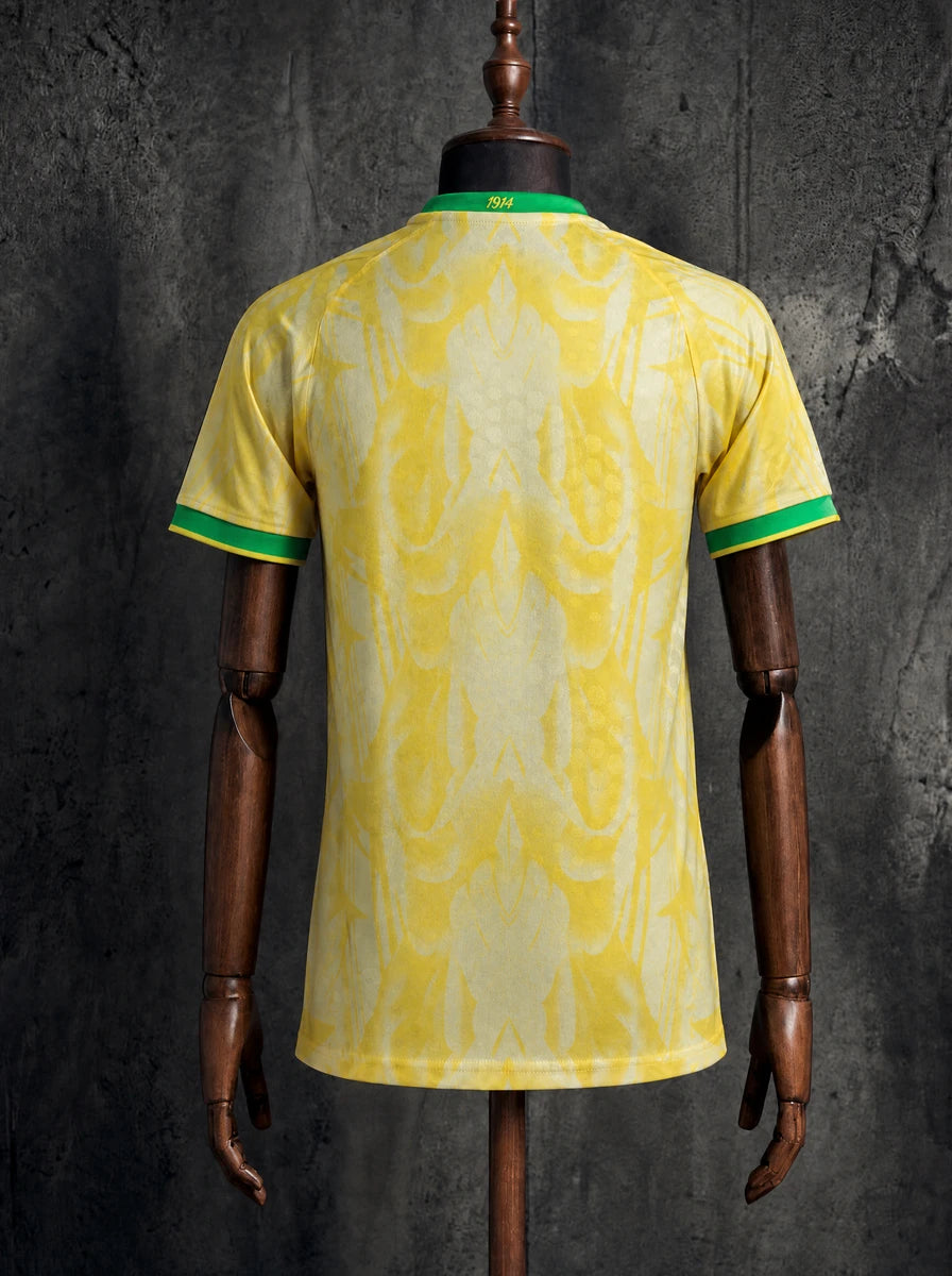 Brazil Jersey Special Edition Player back