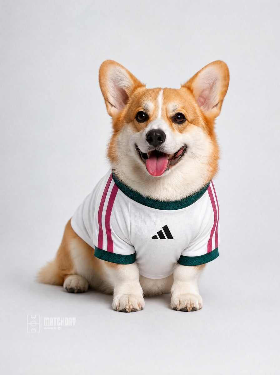 PET Jersey Home 26/27