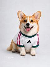 PET Jersey Home 26/27