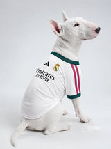 PET Jersey Home 26/27
