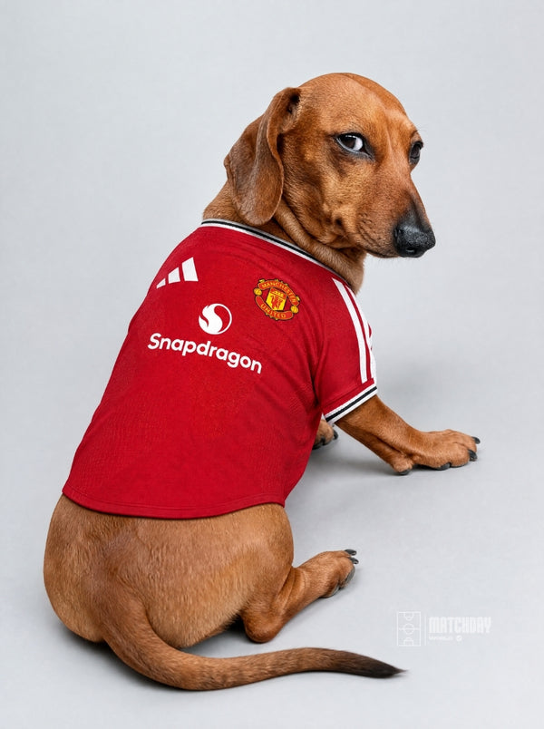 PET Jersey Home 26/27