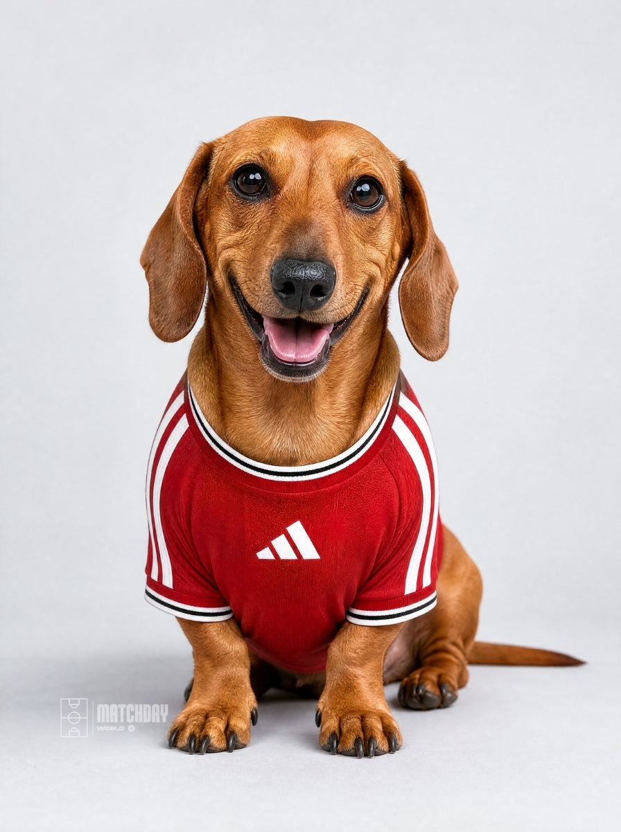 PET Jersey Home 26/27