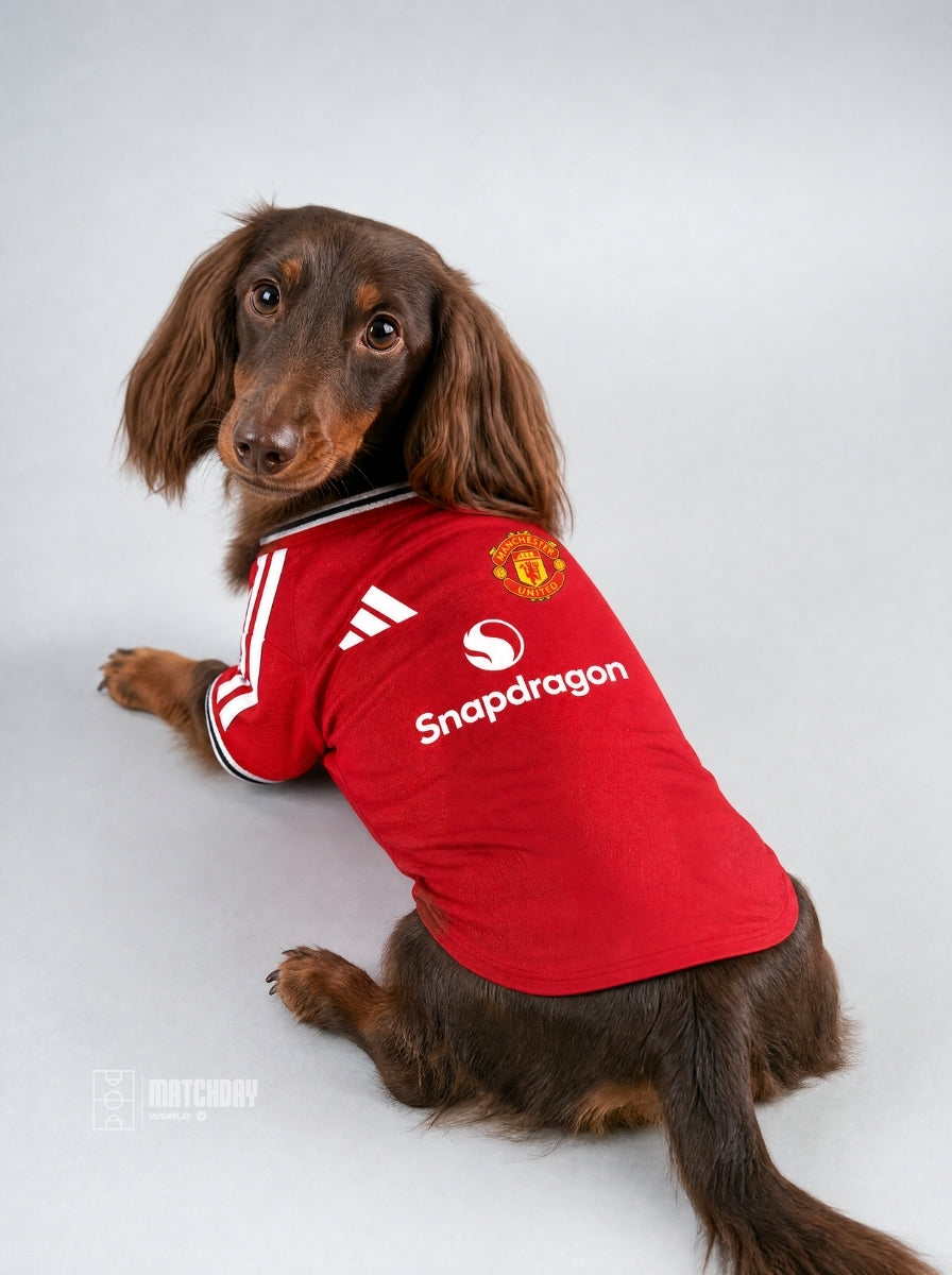 PET Jersey Home 26/27