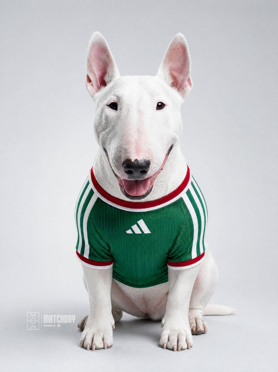 PET Jersey Home 2026