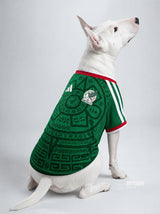 PET Jersey Home 2026