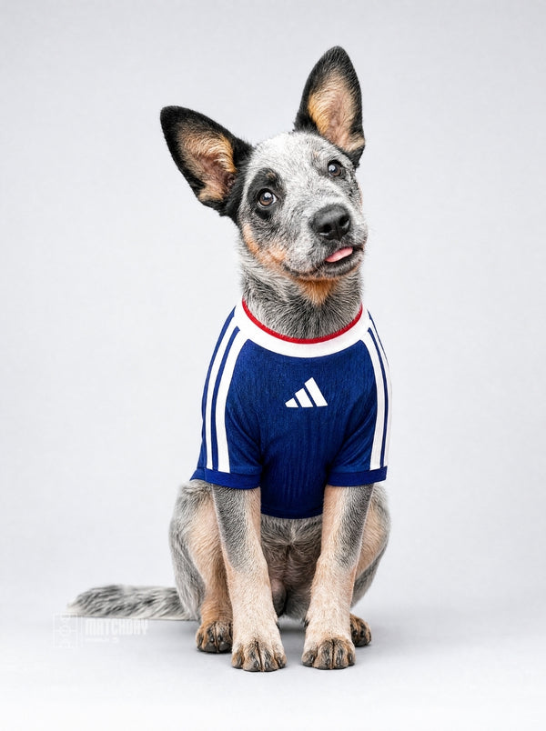 PET Jersey Home 2026