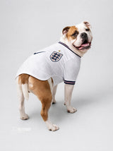 PET Jersey Home 2026