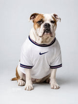 PET Jersey Home 2026