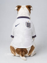 PET Jersey Home 2026