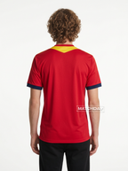 Jersey Retro 2013