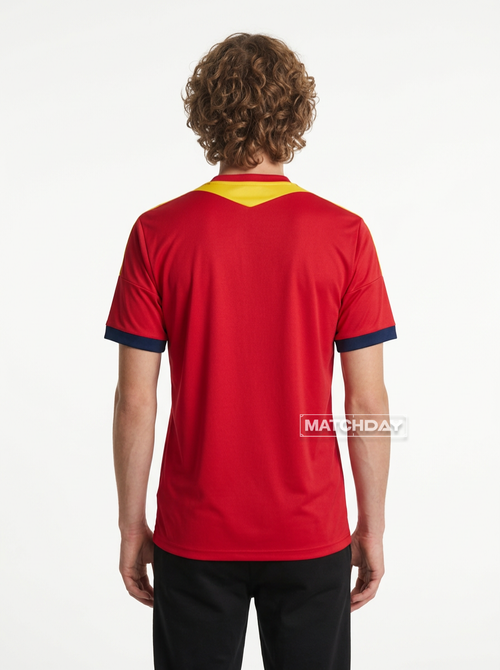 Jersey Retro 2013