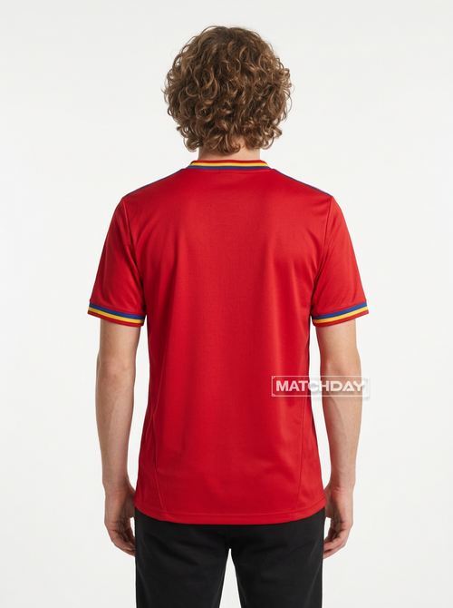 Jersey Retro 2010