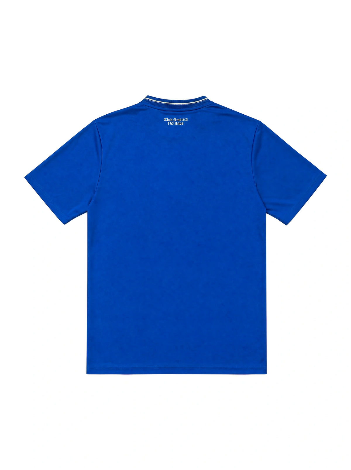 Jersey Special Edition 110th Anniversary Lifestyler Blue 26/27