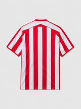 Jersey Retro Home 2006
